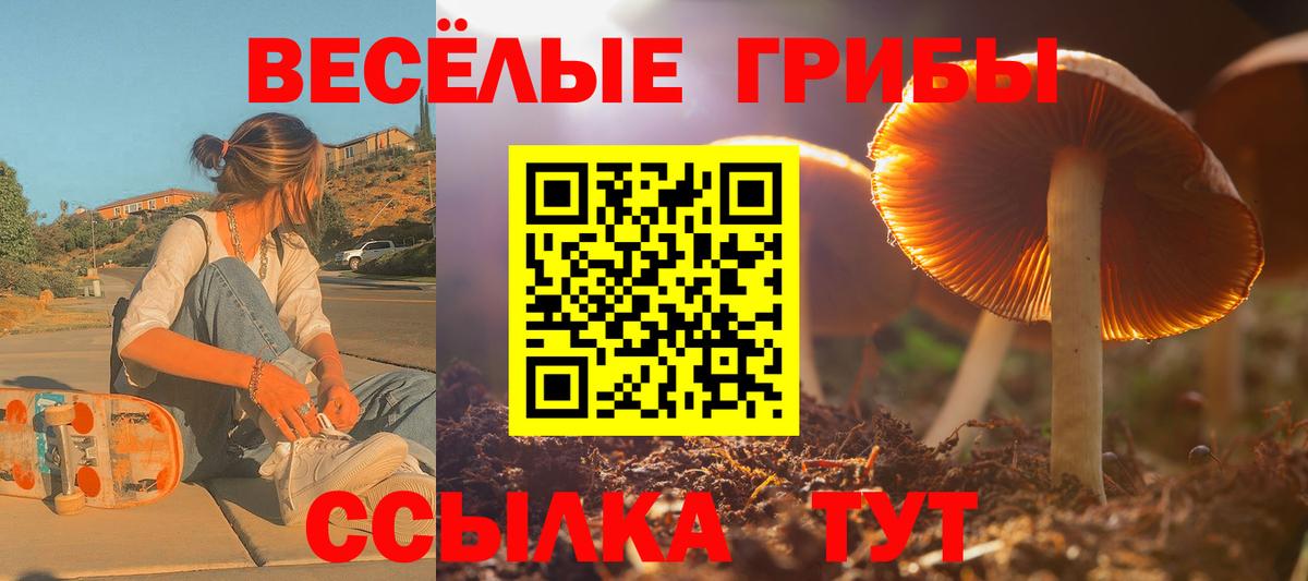 Псилоцибиновые грибы Magic Shrooms  Вход с VPN  Галлюциногенные грибы прущие грибы  Клин 